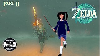 [Legend of Zelda: Tears of the Kingdom - Part 11] The First Maze and the Second Journey!