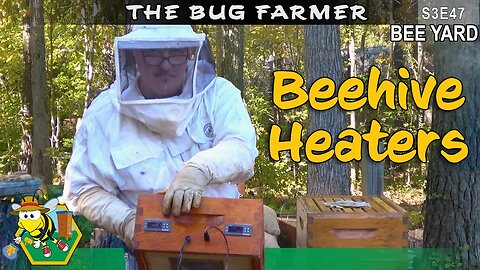 Bringing The Heat | How to heat a beehive | Beehive Heaters #beekeeping