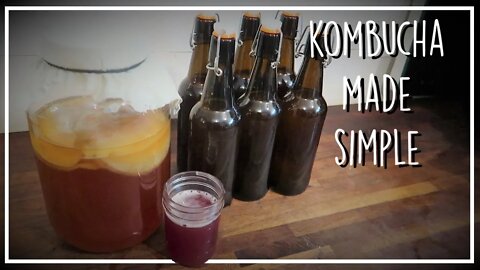 Simple Guide to Homemade Kombucha//Growing a Scoby//Kombucha 101