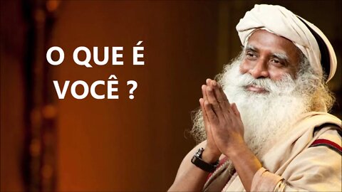 COMPREENDA O QUE VOCÊ É, SADHGURU, DUBLADO