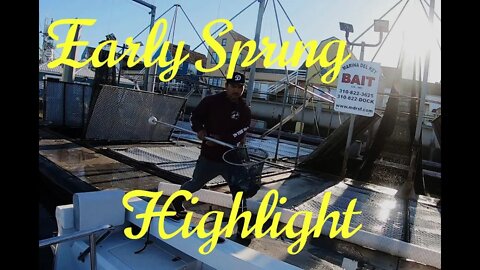 Early Spring Bass & Barracuda Highlight