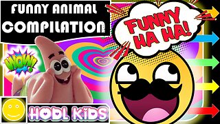 😭🙈 TRY NOT TO LAUGH CHALLENGE - FUNNY ANIMAL COMPILATION 😭🙈 #trynottolaugh #challenge #funny #comedy