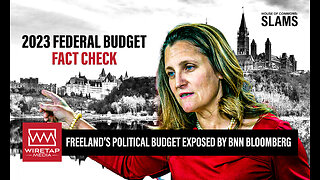 2023 Federal Budget is a political budget, according to BNN Bloomberg