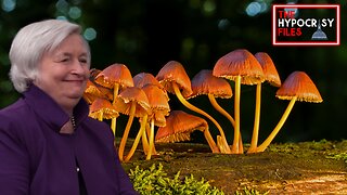 Janet Yellen & Mushrooms