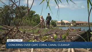 Canal cleanup causing concerns for erosion in Cape Coral