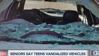 Teens terrorizing senior citizens by vandalizing cars with rocks