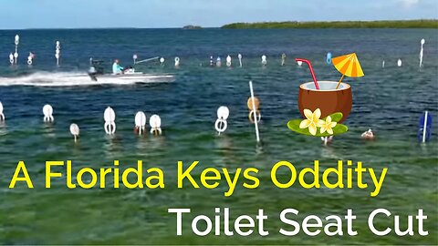 Discover Toilet Seat Cut, Florida Keys Oddities and Curiosities! Outdoor Art Gallery ? 🏝️