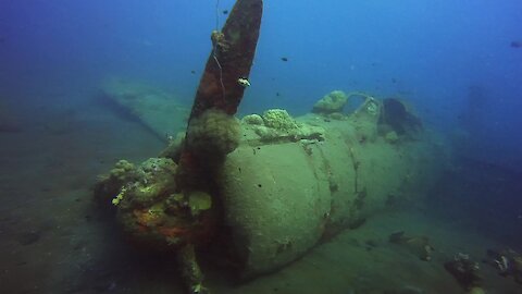 Historic WWII plane discovered 60 years after crash landing