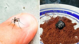 The One Natural Mosquito Repellent That Really Works