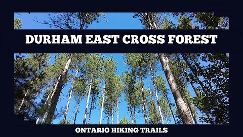 Durham East Cross Forest Conservation Area On The Oak Ridges Moraine