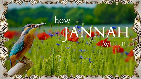 HOW JANNAH WILL FEEL | BEAUTIFULL BAYAN