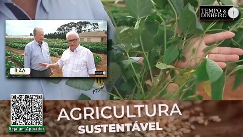 FT Sementes desenvolve cultivares de soja de alta produtividade para as proximas safras