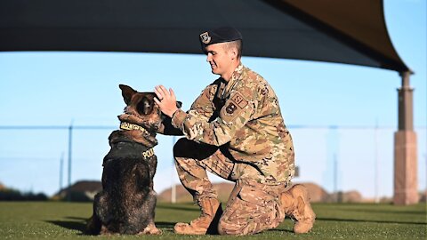 Military Working Dog handler and their K-9s throughout their Air Force careers