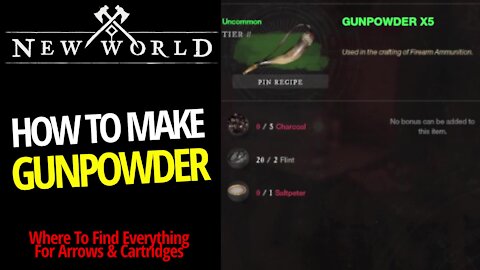Beginners Guide To Ammunition - New World