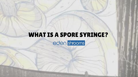 What Is A Magic Mushroom Spore Syringe?