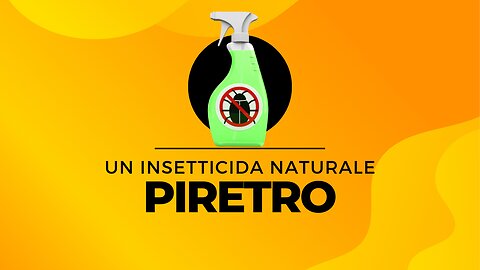 Piretro, un insetticida naturale