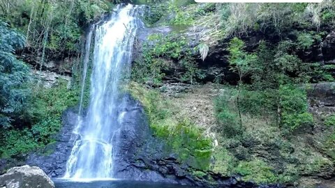 Trilha nascente Rio dos Sinos - Caraá - RS - Brasil #caraars #cascatasrs #turismo