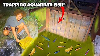 Abandoned FISH TRAP Catches TONS Of Aquarium FISH!