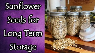 Sunflower Seeds for Long Term Storage