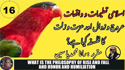 What is the philosophy of rise and fall and honor and humiliation?