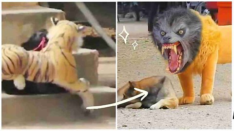 Troll Prank Dog Funny & fake Lion and Fake Tiger Prank To dog