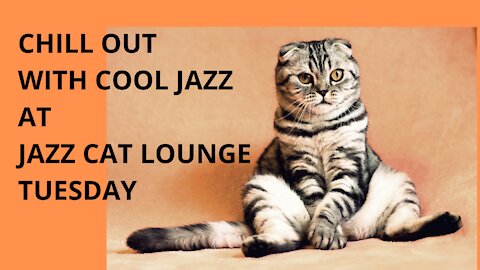 Chill out with cool jazz at JAZZ CAT LOUNGE TUESDAY