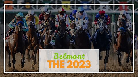 Belmont Stakes Horses Lineup: 2023 Field, Post Positions & More