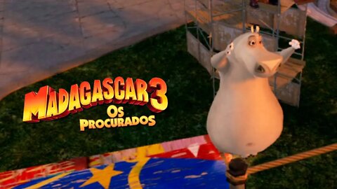 MADAGASCAR 3: OS PROCURADOS #12 - Preparativos para o circo! (PT-BR)