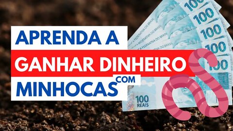 Ganhando dinheiro com minhocas,o que você precisa saber - CONVITE ESPECIAL | Minhocas Belo Horizonte