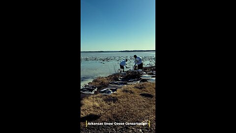 Arkansas Goose Conservation