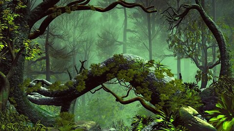 Fantasy Forest Music – Leafy Forest of Healing