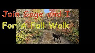 End Of September - A Fall Walk