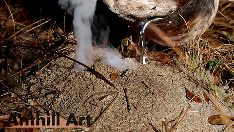 Casting an Ant Hill on a Log with Aluminum (Cast #126)