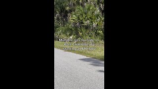 Multiple lots for sale in Port Charlotte, Florida