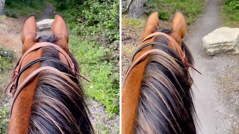 Big Rock In Trail Causes Confusion For Horse