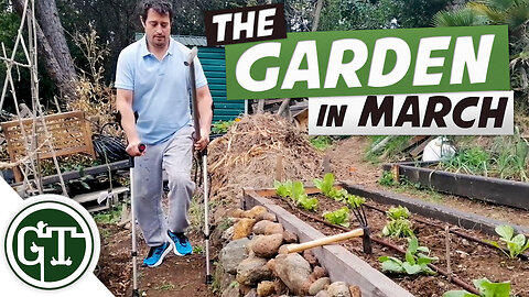 Potato Wilt | Whats Happening in the Garden in March