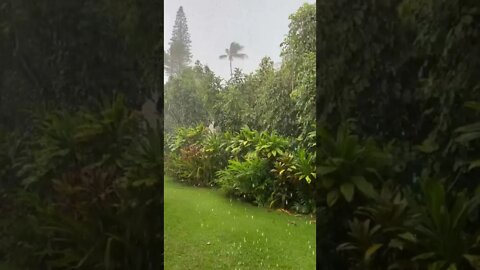 Tropical rain at Kauai shores at wailua Hawaii in the early morning of July 4th.