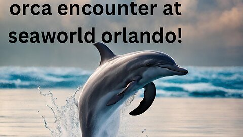 Orca Encounter (Full Show) - SeaWorld Orlando