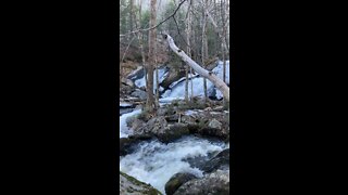 Gushing winter forest waterfall