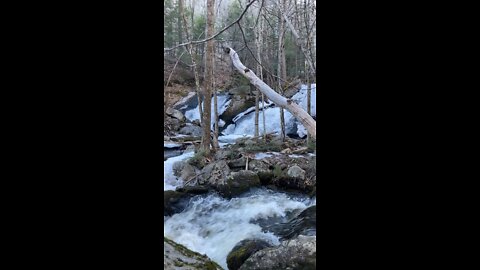 Gushing winter forest waterfall