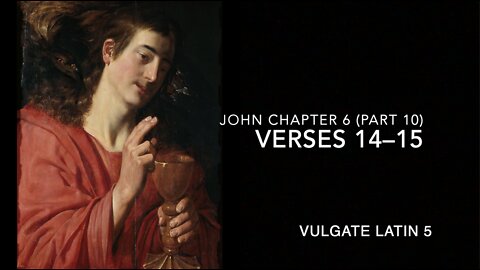 John Ch 6 Pt 10 Verses 14–15 (Vulgate 5)