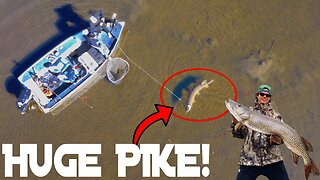 Huge Fish Caught On Drone