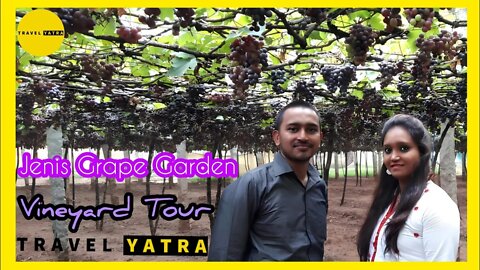 Grapes Farm Visit | Vineyard Of Theni Tamilnadu | Grapes Garden Virtual Tour By Travel Yatra🙂👍🏼