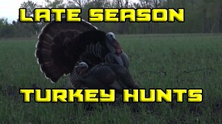 Awesome Late Season Turkey Hunts