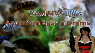 Kool MVs - Aquarium Bass n Drums