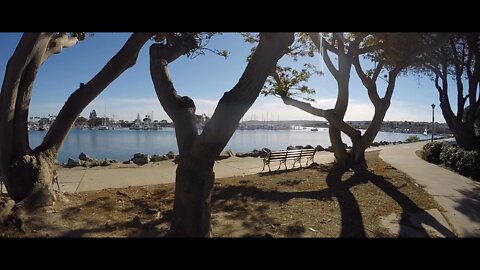 Blasian Babies DaDa Harbor Island And Spanish Landing Park (1440 48fps)