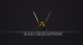 Premier On rumble Weekly Wasp Cast 11.29.2022
