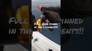 Fishing Video of Red Snapper fish off Atlantic Beach 😆 #shorts #saltwaterfishing #fishingvideo