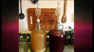How to Make Wine from Home Grown Fruit: Part 2