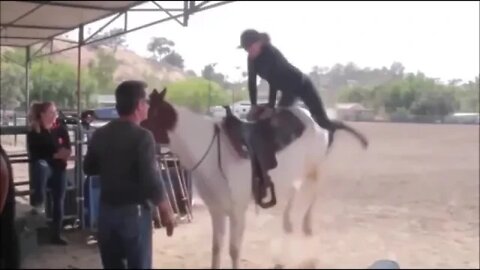 Mini jump on horse
